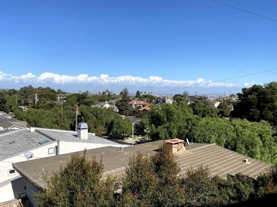 Hilltop Oasis Near Palos Verdes